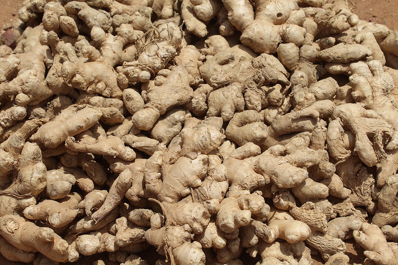 Jengibre